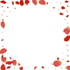 Red Peach Blur Vector White Background. Japanese