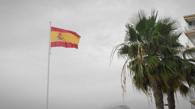 Flag of Spain waving against cloudy sky and palm tree. Flag waving on flagpole