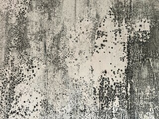Mold stains 