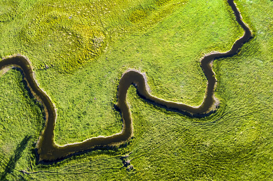Aerial view looking straight down on a winding creek in a green field, near Millerville; Alberta, Canada
