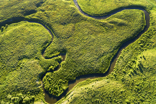 Aerial view looking straight down on a winding creek in a green field, near Millerville; Alberta, Canada