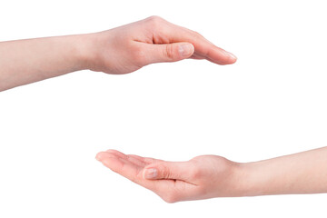 Close-up of Woman hand isolated on transparent background png file