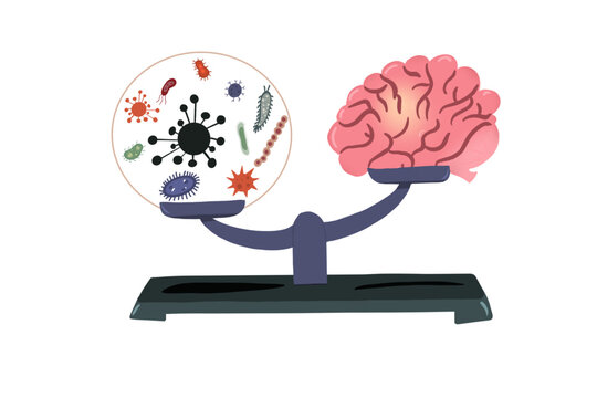 Microbiota And Brain, Illustration. 