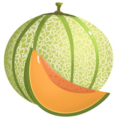 juicy melon fruit whole and sliced. Illustration. Image isolée 