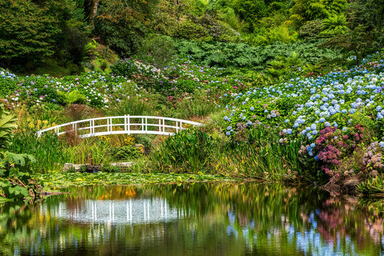 White arched bridge reflecting in garden pond surrounded by flowering bushes and trees; Cornwall County, England
