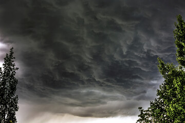 Dramatic dark grey storm clouds framed by trees; Calgary, Alberta, Canada