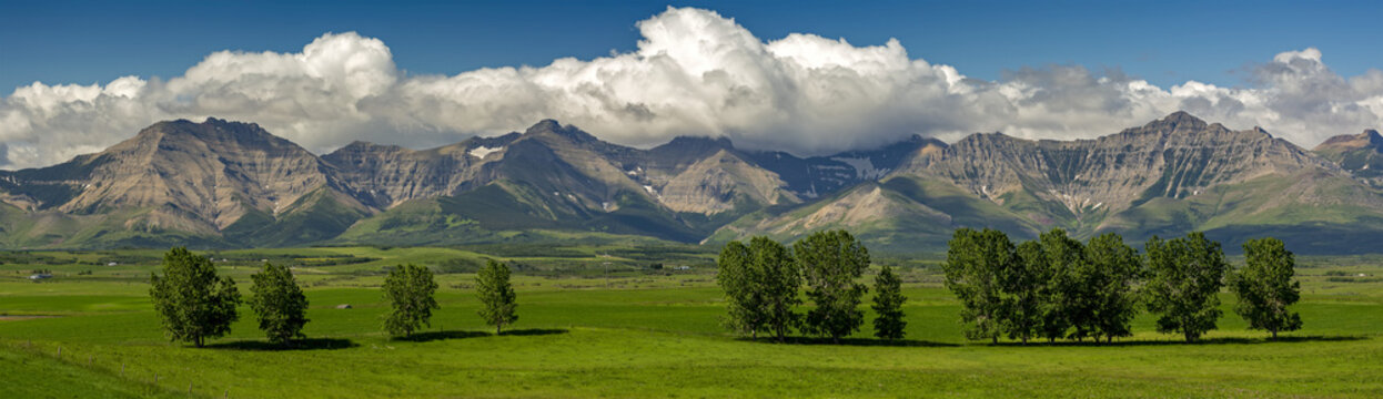 Panorama view of mountain range with white clouds, blue sky and green field  and trees in the foreground, North of Waterton; Alberta, Canada