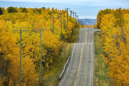 Road on rolling hill with colourful autumn tree colours lining the sides; Calgary, Alberta, Canada