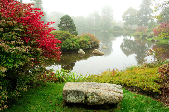 Scenic view of a Japanese garden in autumn.; Asticou Azalea Gardens, Northeast Harbor, Mount Desert Island, Maine.