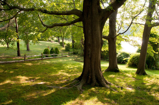Park with trees, shrubs, lawn and a pond behind the Hoxie House.; Sandwich, Cape Cod, Massachusetts.