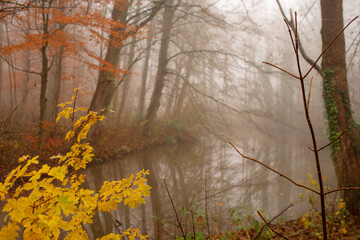 Fog over the pond in the forest on a frosty winter morning.