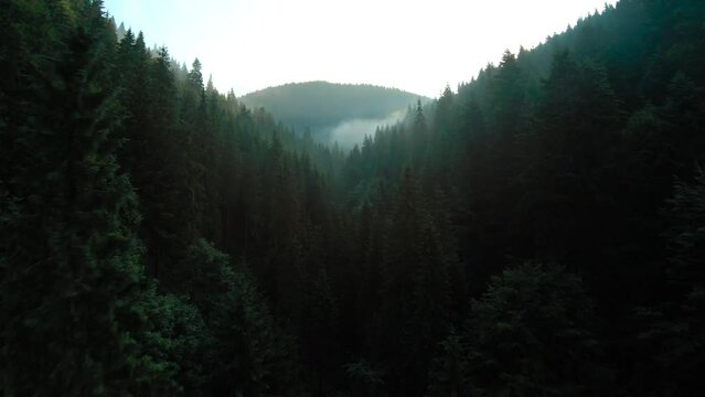 Aerial view of beautiful mountain landscape. Fog rises over the mountain slopes