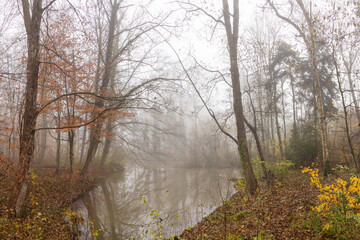 Fototapeta na wymiar Fog over the pond in the forest on a frosty winter morning.