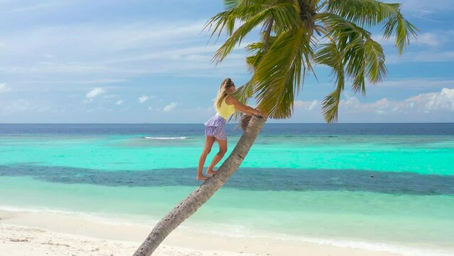 Beautiful woman climbed up and stands on a palm tree on a white sand beach and turquoise sea on tropical island. Aerial drone view.
