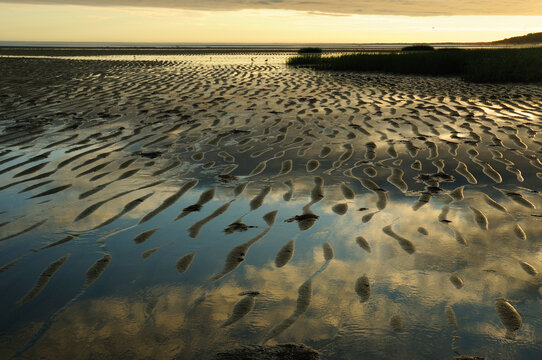 Sunrise at the intertidal zone at low tide at Payne's Creek beach.; Payne's Creek, Brewster, Cape Cod, Massachusetts.