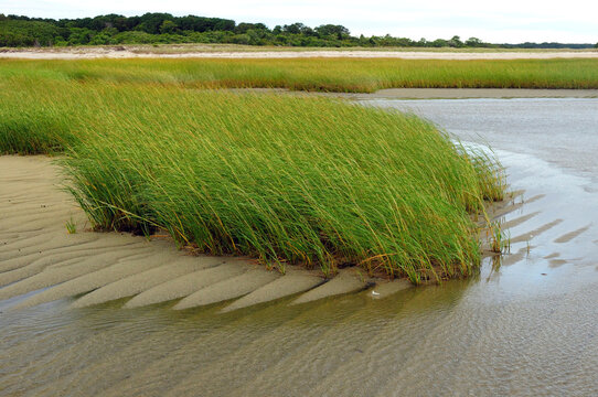 Scenic view of a Cape Cod shoreline.; Payne's Creek Beach, Cape Cod National Seashore, Brewster, Massachusetts.