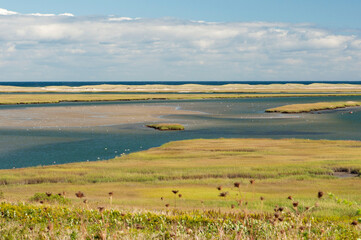 A scenic view of a coastal marsh and barrier island.; Fort Hill, Eastham, Cape Cod, Massachusetts.