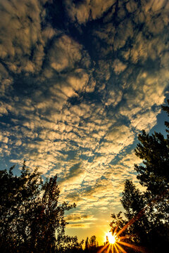 Wide angle dramatic colourful cloud formation at sunset with silhouetted trees and sunburst; Calgary, Alberta, Canada