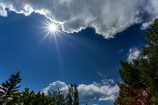 Sun starburst with storm clouds, blue sky and framed by trees in the foreground; Calgary, Alberta, Canada
