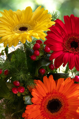 Closeup of bouquet with gerbera flowers of different colors and decoratives berries