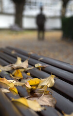 Yellow autumn leaves on a brown wooden bench and a blurred figure in the background in a city park.