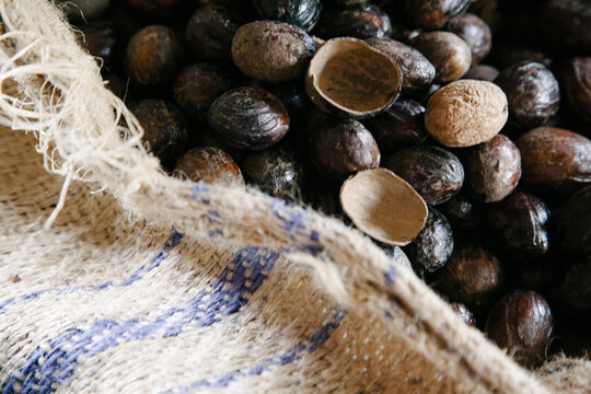 Nutmeg shells in a spice processing plant in Grenada; Gouyave, Grenada, West Indies