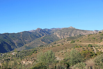 Fototapeta na wymiar Mountains of Andalucia in Spain 