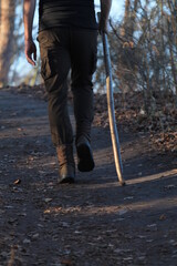 Obraz premium walking in the park