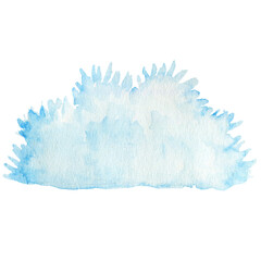 watercolor illustration of a snowy blue bush