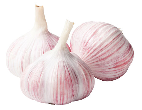 heads of garlic on a white background
