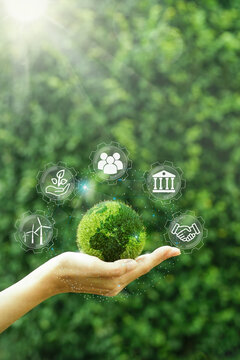 Hand of girl holding green earth for Environmental Social and over the Network connection on nature background, technology ecology. World sustainable environment concept.	