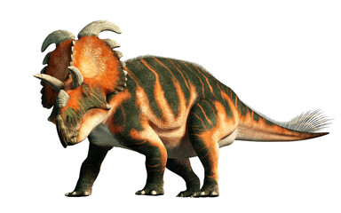 Albertaceratops is an extinct dinosaur that lived in Cretaceous era Canada. Part of the same family as triceratops, it was recognized by long brow horns and bony nose ridge. 3D Rendering.