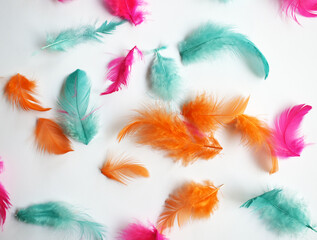 colorful feathers background