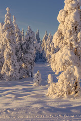 Ski center in Ludvika municipality in southern Dalarna Sweden for cross-country skiing and dog sledding