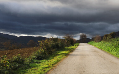 Fototapeta na wymiar Empty road in countryside, beatiful landscape