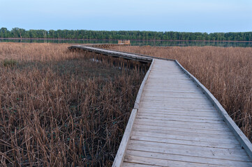 marsh and boardwalk along minnesota river in minnesota valley national wildlife refuge of bloomington minnesota