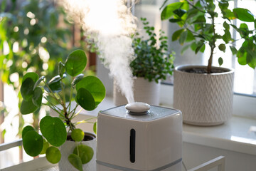 Modern cool-mist humidifier for indoor plants. Steam vaporizer working inside house, moisturizing dry air at home, standing near green houseplants. Humidity in apartment and plantcare concept - obrazy, fototapety, plakaty