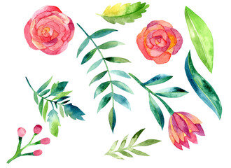 Watercolor clipart red beautiful roses, greenery, leaves , isolated elements, 600 dpi PNG clipart, clip art, isolated elements , botanical, wedding invitations, thank you cards, graphic elements 