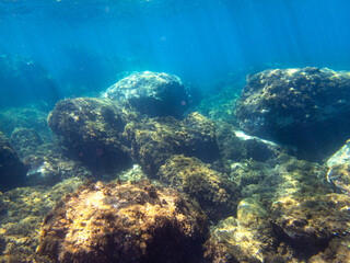 Fondale marino Isola Bella Taormina 