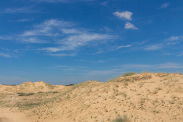 Obraz na płótnie Canvas View of the Oleshkiv sands - the Ukrainian desert near the city of Kherson. Ukraine