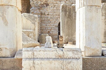 The Temple of Domitian at Ephesus