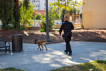 A police officer walking a  golden brown dog on a leash with a chain collar near a tree surrounded...
