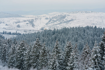 snow covered mountains