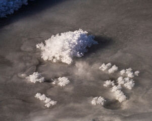  Detail of a frozen pond