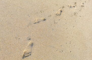 Fototapeta na wymiar Footprint footprints on the beach sand by the water Mexico.