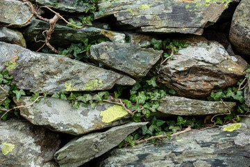 Ancient Cornish dry stone wall close up.