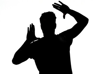 man making the gesture of frame