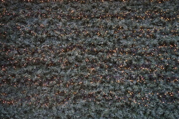 Grüne Kunsttannenfläche mit leuchtender Lichterkette als Hintergrund 