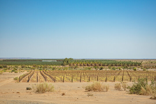Naute Kristall Cellar and Distillery, Fish River Canyon; Namibia
