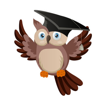 Owl teacher. Cartoon bird character with back to school items cute  vector illustration. Owl clever, teacher wise